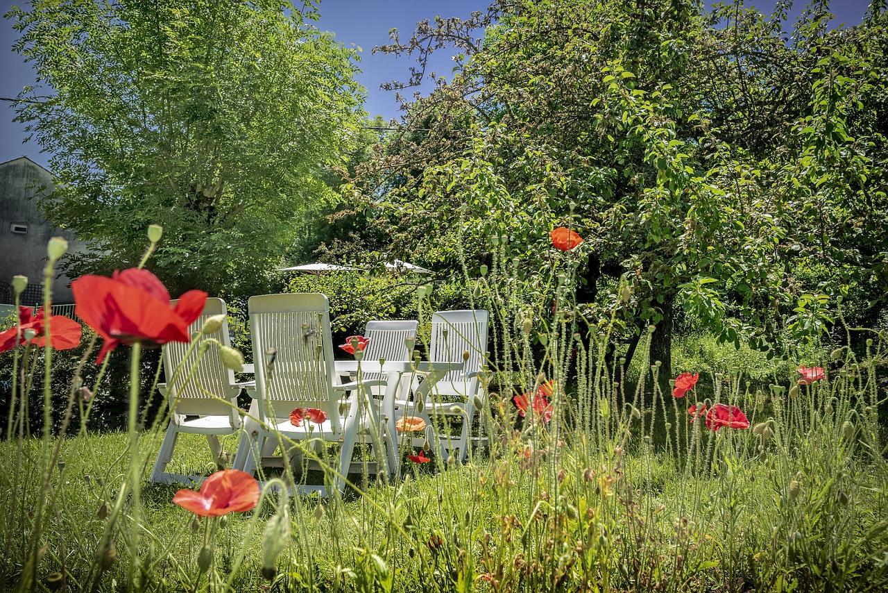 Logis Hotel Restaurant Le Mont Aigoual Meyrueis Exterior foto